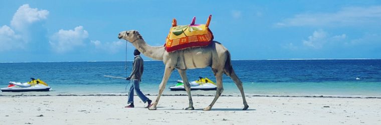 Viajar a Kenia, a las cosas de Mombasa
